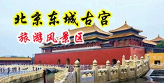 美女操逼免费观看网站污视频中国北京-东城古宫旅游风景区
